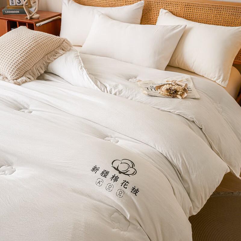 Fuyuefen Thickened All-Season Quilt