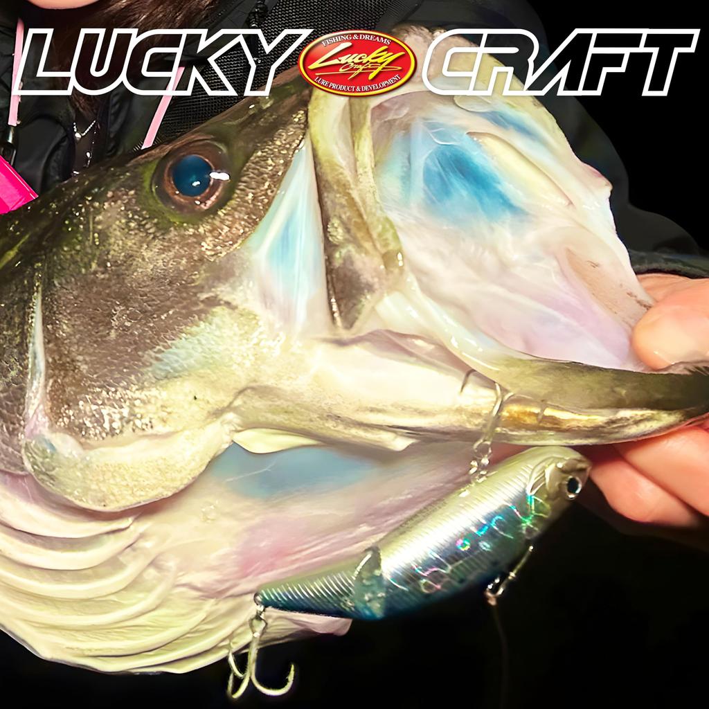 LUCKY CRAFT Salty Beats 85 Fishing Lure Pinky (1518 Punch)