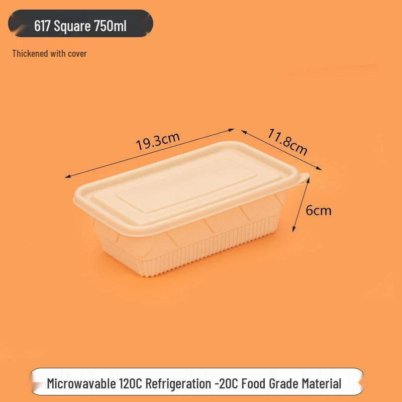 Biodegradable Corn Starch Lunch Box for Takeaway and Picnics