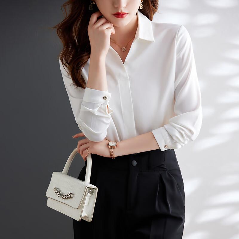 Women's Non-Iron Satin Long-Sleeve Professional Shirt