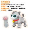 TKSK RoboCattie Friendly Mii Remote Control Cat Robot with Programmable Function, Touch Sensor, and Sound Sensory Center, TK-117
