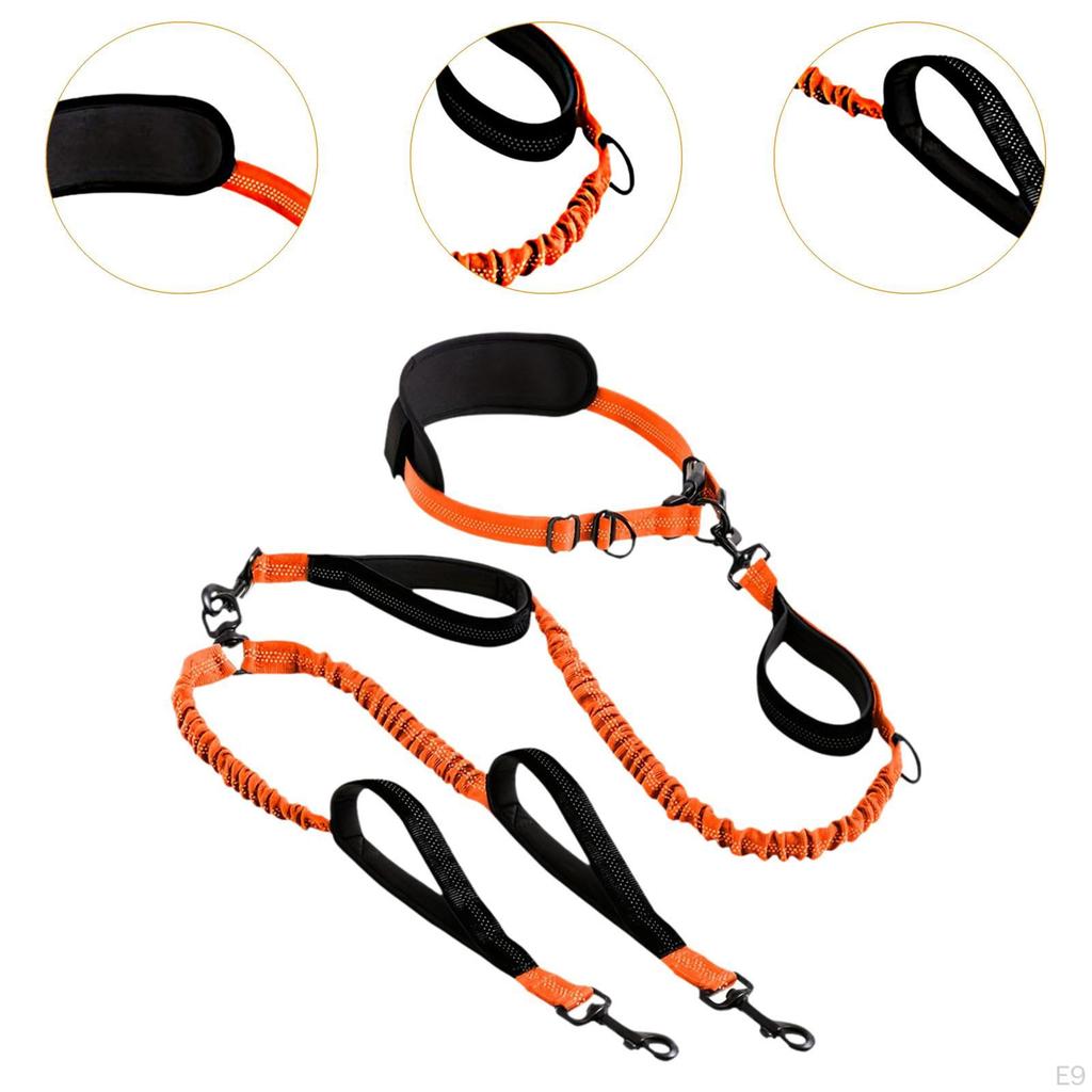 Double Dog Leash Retractable Hands Free No Pull Reflective Bungees for Canicross