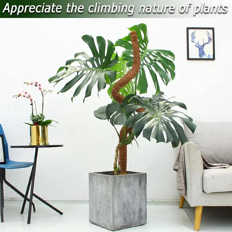 Stâlp flexibil din fibră de cocos și mușchi, 80 cm, Suport pentru plante Monstera, Grilaj extensie grădină pentru cățărare verticală - Ajutor pentru extensia plantelor