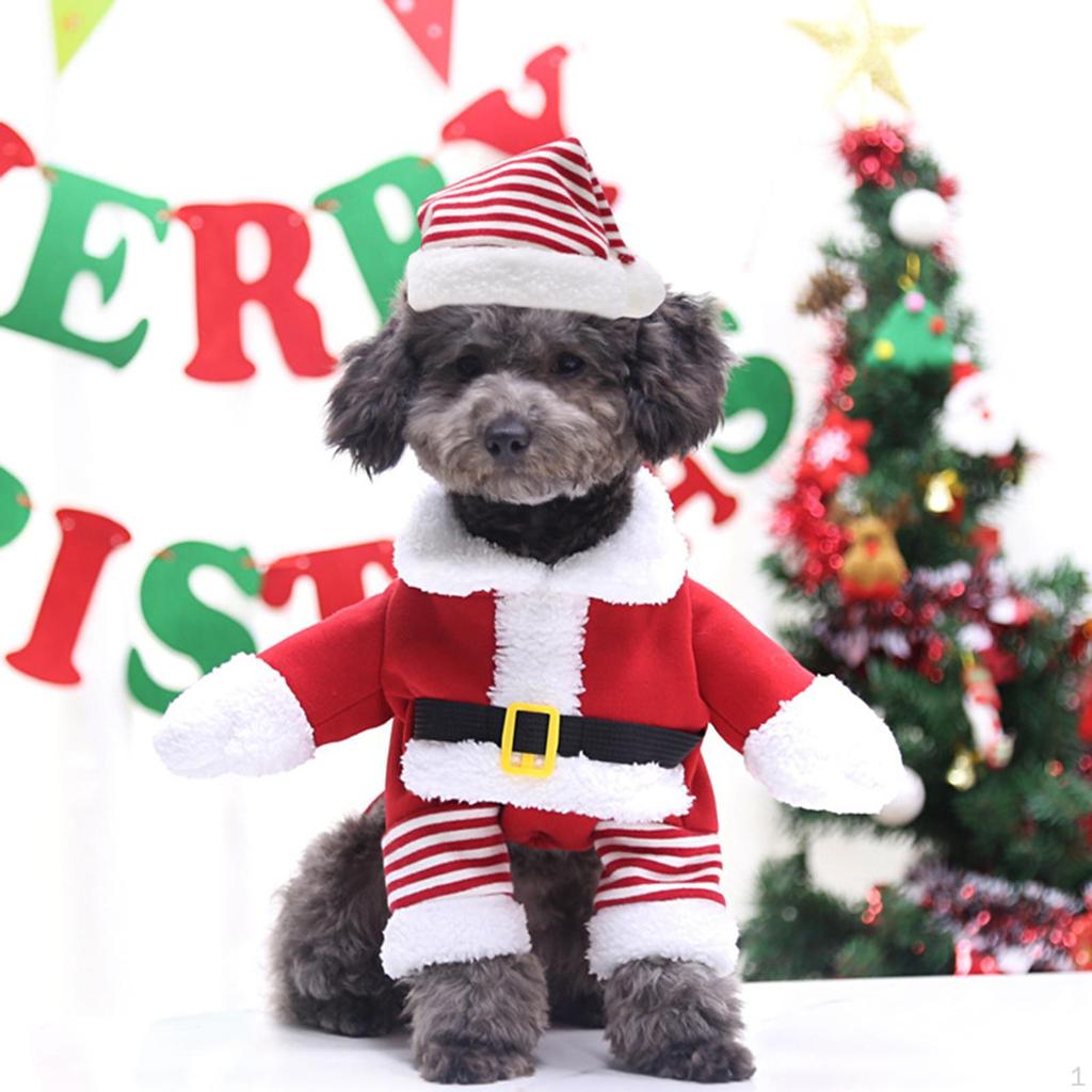 Kedi Noel Kıyafeti Şapkalı Giyim Sevimli Noel Baba Giysileri Partiler İçin Takım Elbise