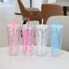 Portable Cute Bowknot Travel Water Bottle Plastic Transparent Straw Cup with Lid and Straw Beverage Serving Juice Cups