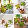 Lifelike Artificial Succulent Plant Real Touch Simulation Bonsai Plant  Balcony Decoration