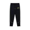 Mens Gradient Letter Tiger Head Embroidered Hoodie Jogger Set Streetwear Winter Outfit