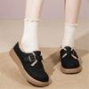 Autumn and Winter Footwear Plus Size Thick Soled Shoes Plus Velvet Warm Women's Shoes and Cotton Shoes