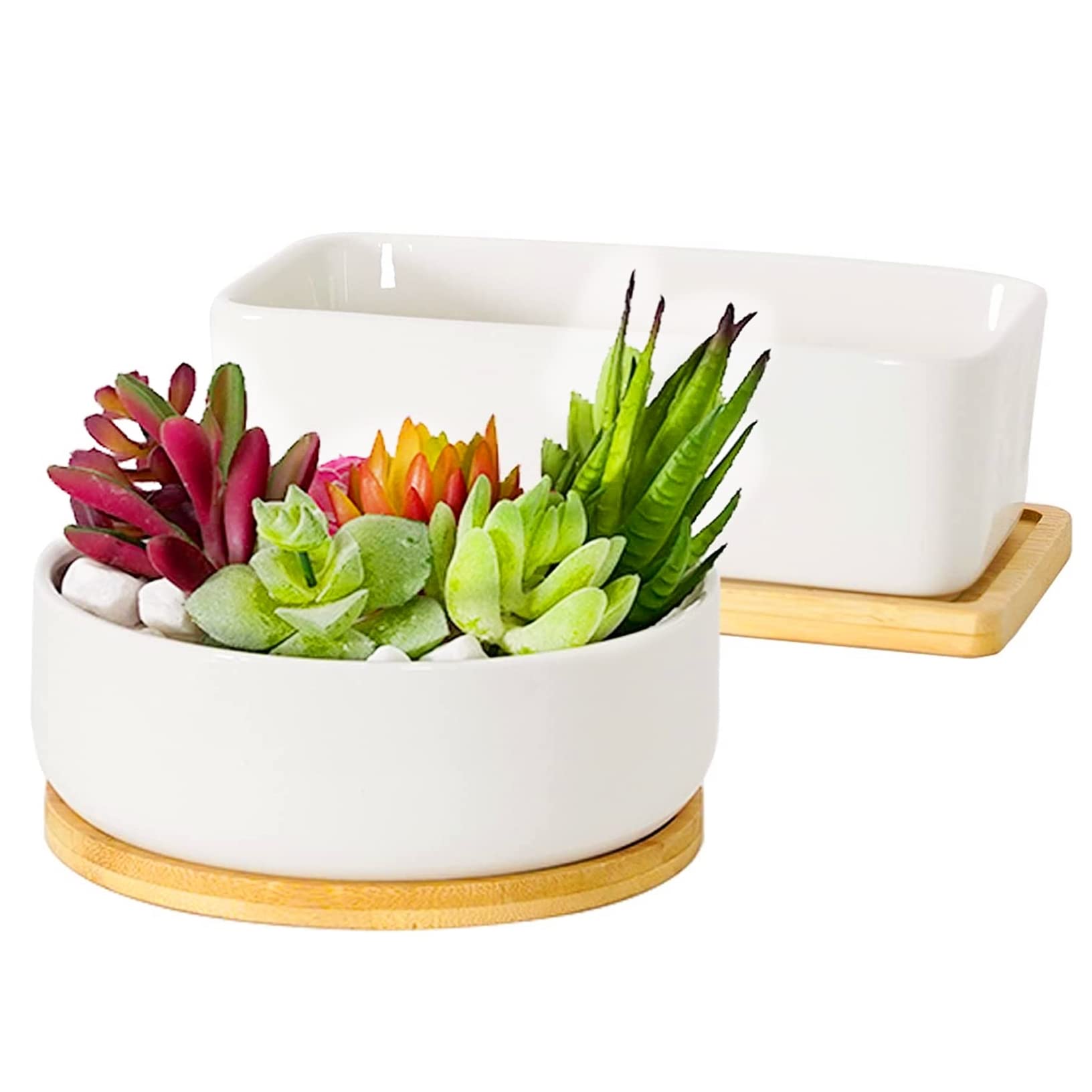 

FaceColor Ceramic Succulent Cactus Set of 2 Round and One Mini Bonsai Pots with Drainage Holes and White Suitable for Living and Gardens Not Pots, белый