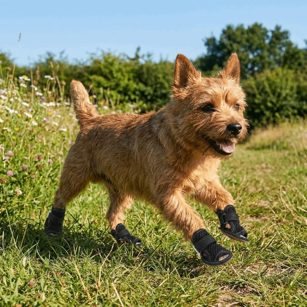 4Pcs/Set Soft Summer Dog Shoes Non-Slip Hollow Puppy Shoes Dog Paw Protector  for Small Medium Dogs