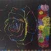 STONEGO Buntes Graffiti-Buch Kreatives Farb-DIY Spiralblock Kratzbild Malbuch Kinder Kratzbildbuch