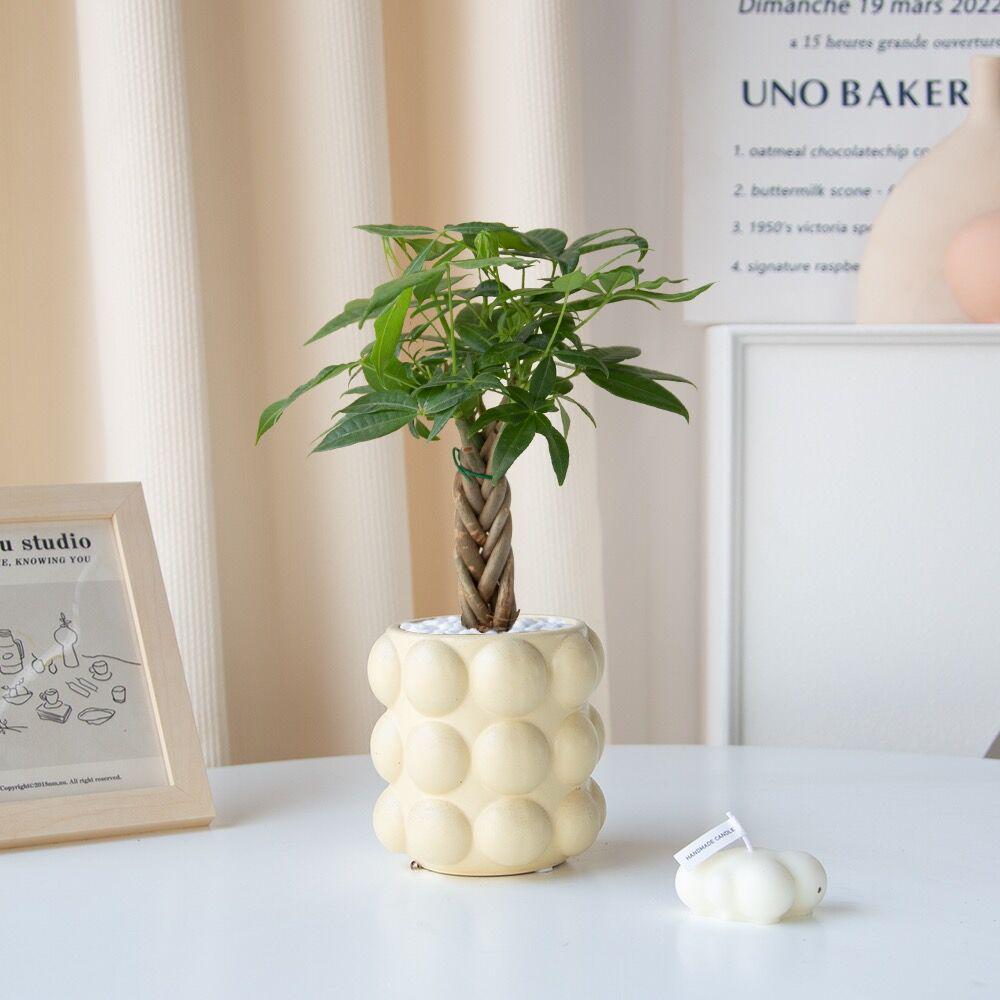 Nordic Cream Pearl Ceramic Flower Pot for Home or Office Decor