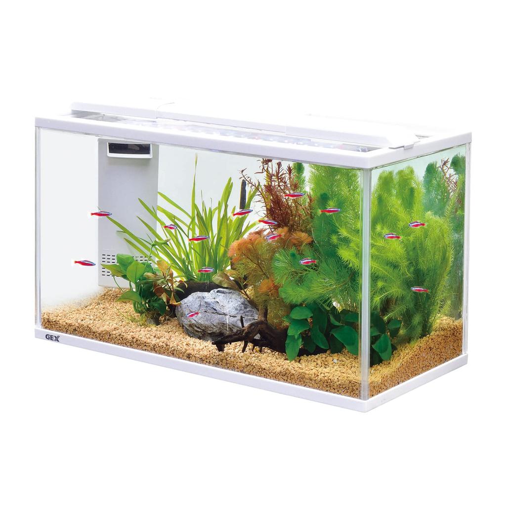 GEX GEX AQUARIUM Silent Fit Alpha 500 z cichym i energooszczędnym filtrem