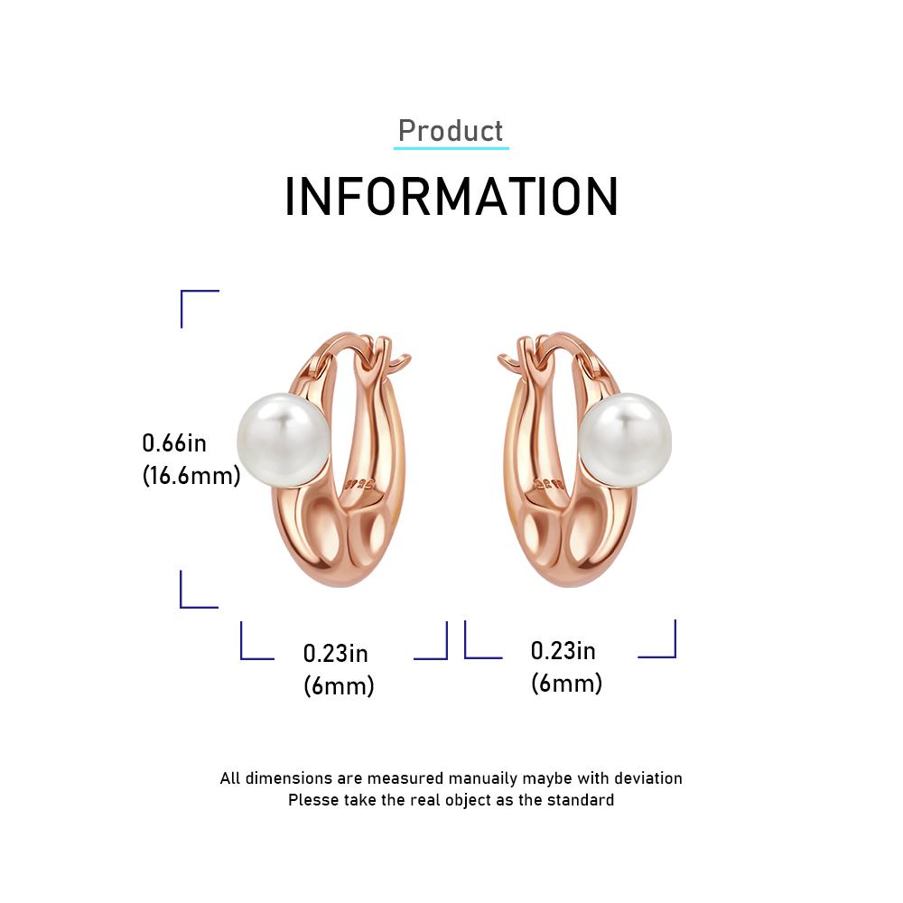 Luxurious copper Color Fashion Round Ball Hoop Earrings Rose Gold & Gold Zircon Slap Piercing Ear Buckles for Women Fine Zircon