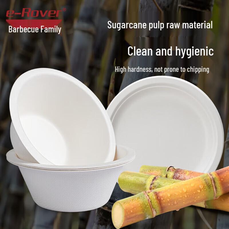 BBQ Family Eco-Friendly Disposable Paper Plates