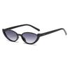2026 European & American Fashion Cat Eye Sunglasses - Women's Trendy Internet Celebrity Style