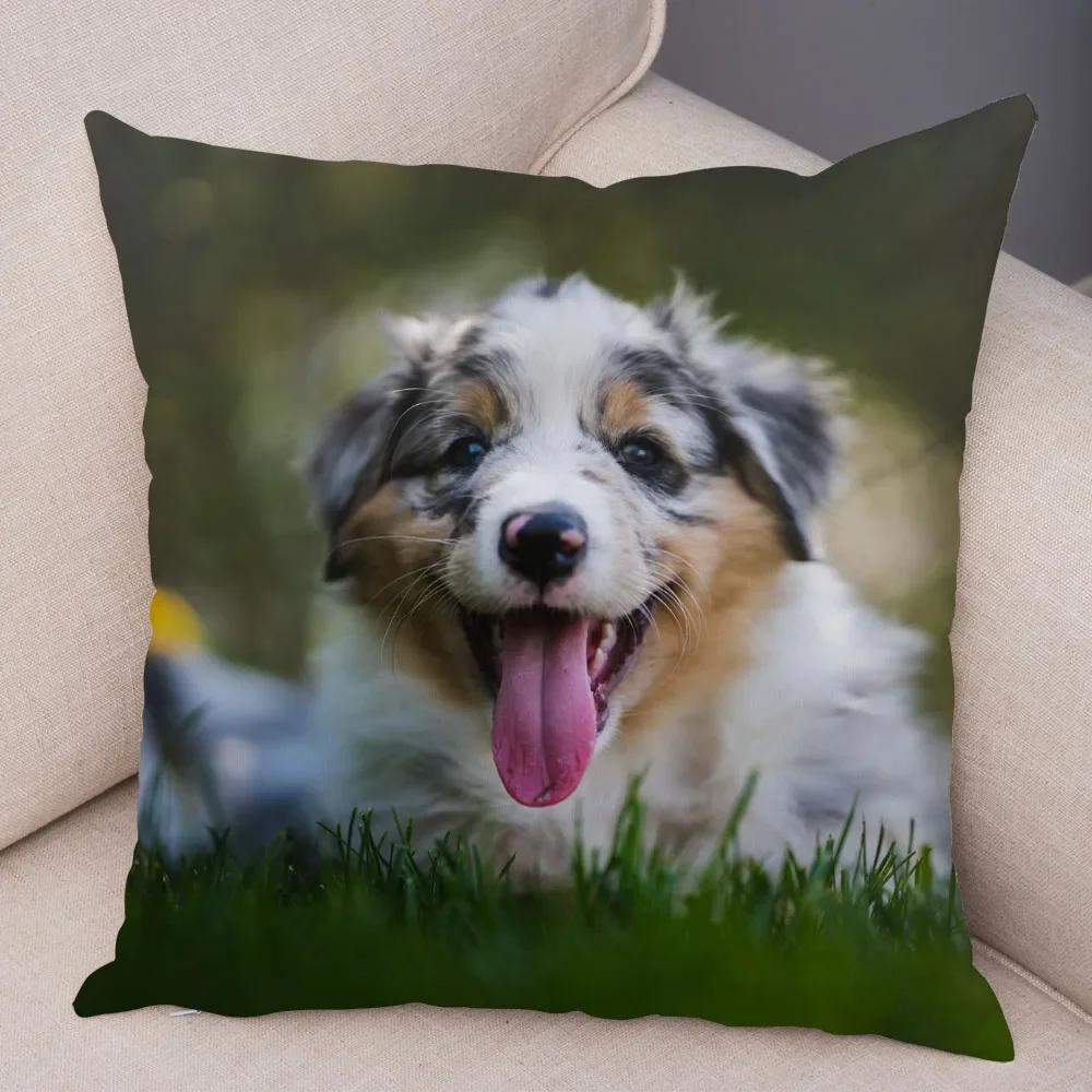 Trykt Putetrekk for Kjæledyr Skottland Border Collie Mykt Plysj Putetrekk Dekor Søtt Hundeputetrekk for Sofa Bil