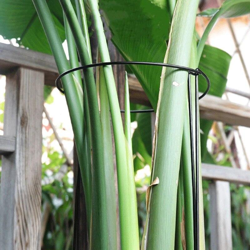 6pcs Tall Plant Support Stakes Metal Half Round Garden Plant Cage And Support Green Plant Support Ring Border For Flower Indoor
