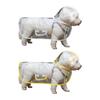 Roupa e sapatos – Impermeáveis para cães