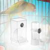 Bird Feeders and Waterer Parrot Feeder Drinker Clear Watching Food Dispenser for