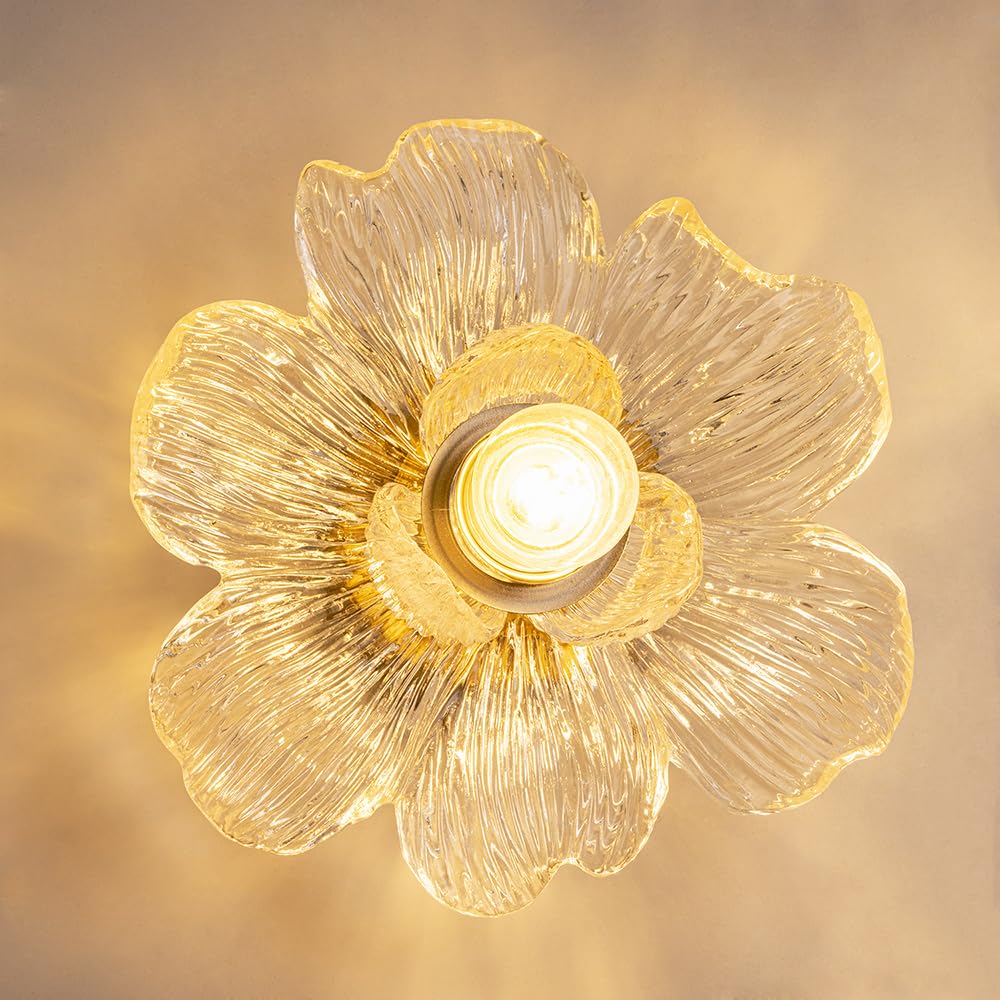 

Chende ODELIC Resin and Brass Wall-Mounted Light, Single Light, E26 LED Compatible, Flower Petal Design, Stylish, Scandinavian Clear Wall Light,
