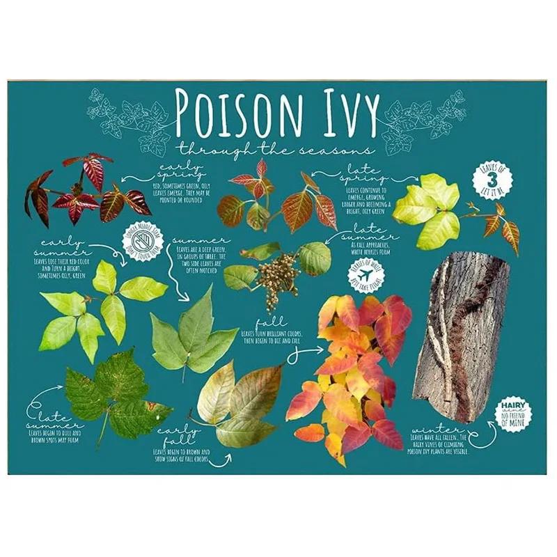 Metal Tin Sign Garden Beautiful Flowers Vintage Tin Sign Flower Lavender Metal Wall Panel Retro Art Decoration for Home Cafe Bar