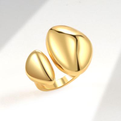 Double Oval Irregular Curved Ring Smooth Brushed Finish Minimalist Fashion Jewelry Band For Women