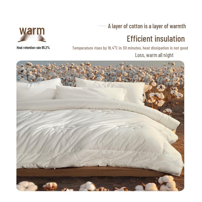 Mercury Home Textiles Premium Xinjiang Cotton Quilt