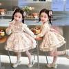 Girls' Autumn Cartoon Rabbit Princess Puffy Dress