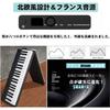 NikoMaku Electronic Piano 88-Key Folding SWAN-X Black