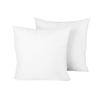 2-Piece Hypoallergenic Down Substitute Polyester Square  Core 41x41cm