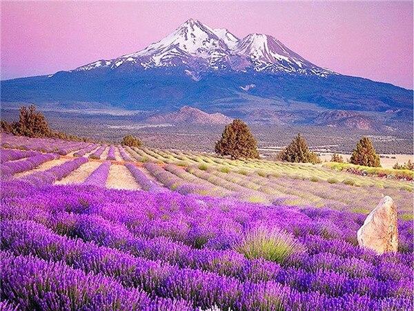 

5D DIY Алмазная вышивка Лаванда Полный квадратный круглый Рукоделие Алмазная картина Цветок Ремесло Подарок ручной работы Full Square 20X30CM фиолетовый