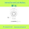 M3-M30 Blackened 65 Manganese Steel Multi-Tooth Inner Lock Washer (GB861.2)