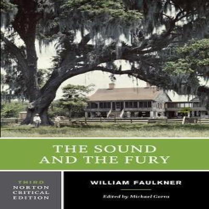 The Sound and the Fury by William Faulkner Paperback Book 9780393912692