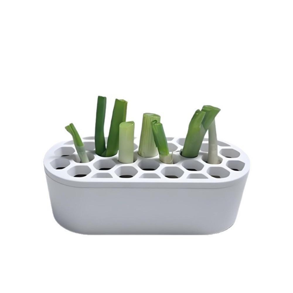 Water Reservoir Base Hydroponic Planting Pots Breathable Green Onion Pots  Kitchen белый
