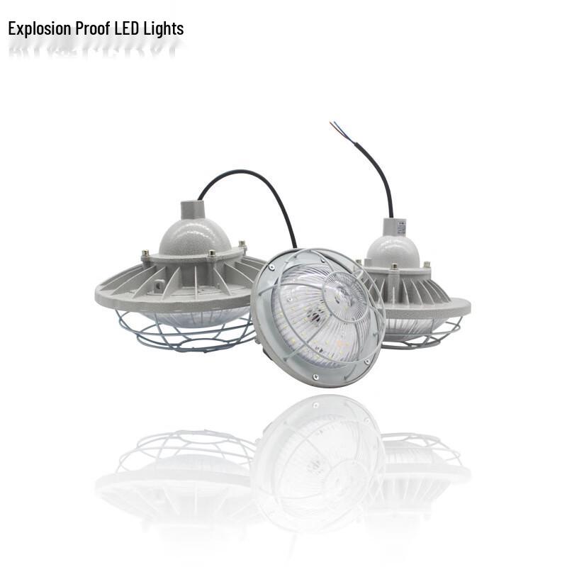 

30W LED Industrial Emergency Pendant Light