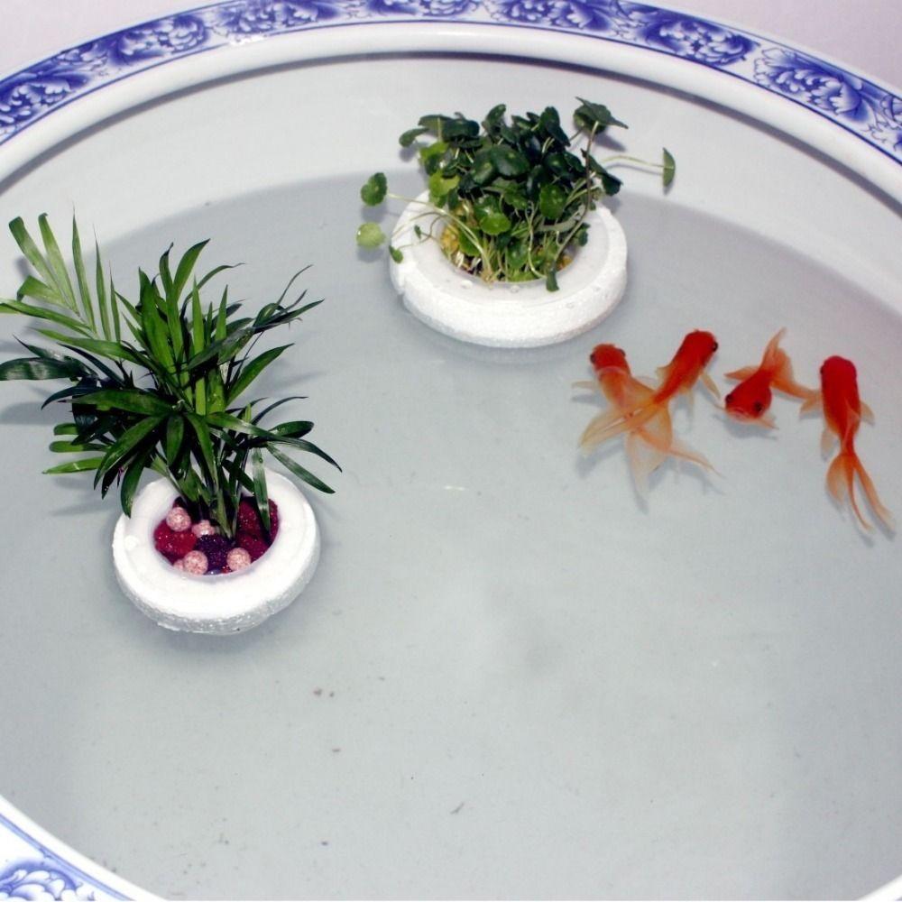 Suction Cup Floating Aquatic Plant Basket Plastic Hydroponic Plant Holder Aquatic Environment