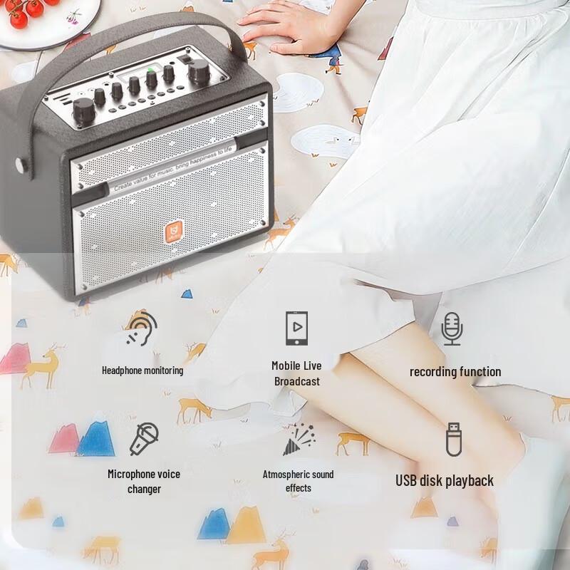 BD-H0570 Retro Portable KTV Karaoke Speaker with Bluetooth