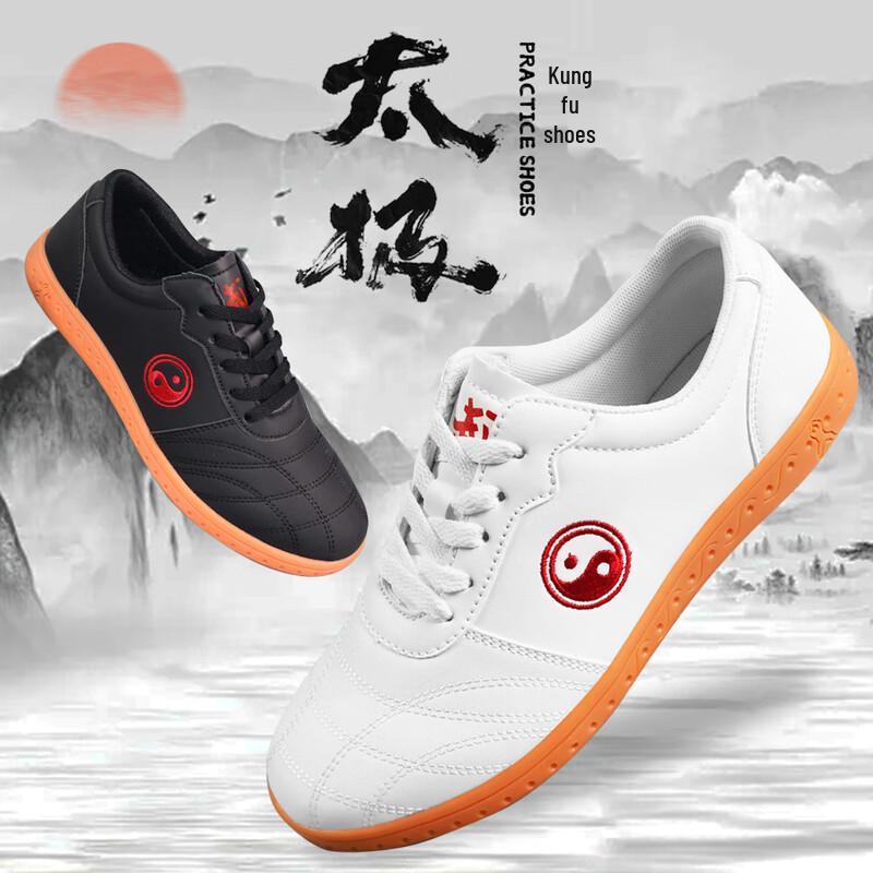 

Taichuan Dracula Breathable Tai Chi Training Shoes 43