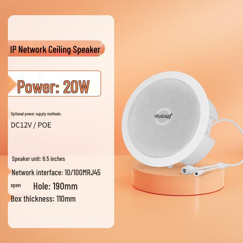 QIASHENG 20W IP Network Ceiling Broadcast Speaker CN plug (adapter included) (CN version)