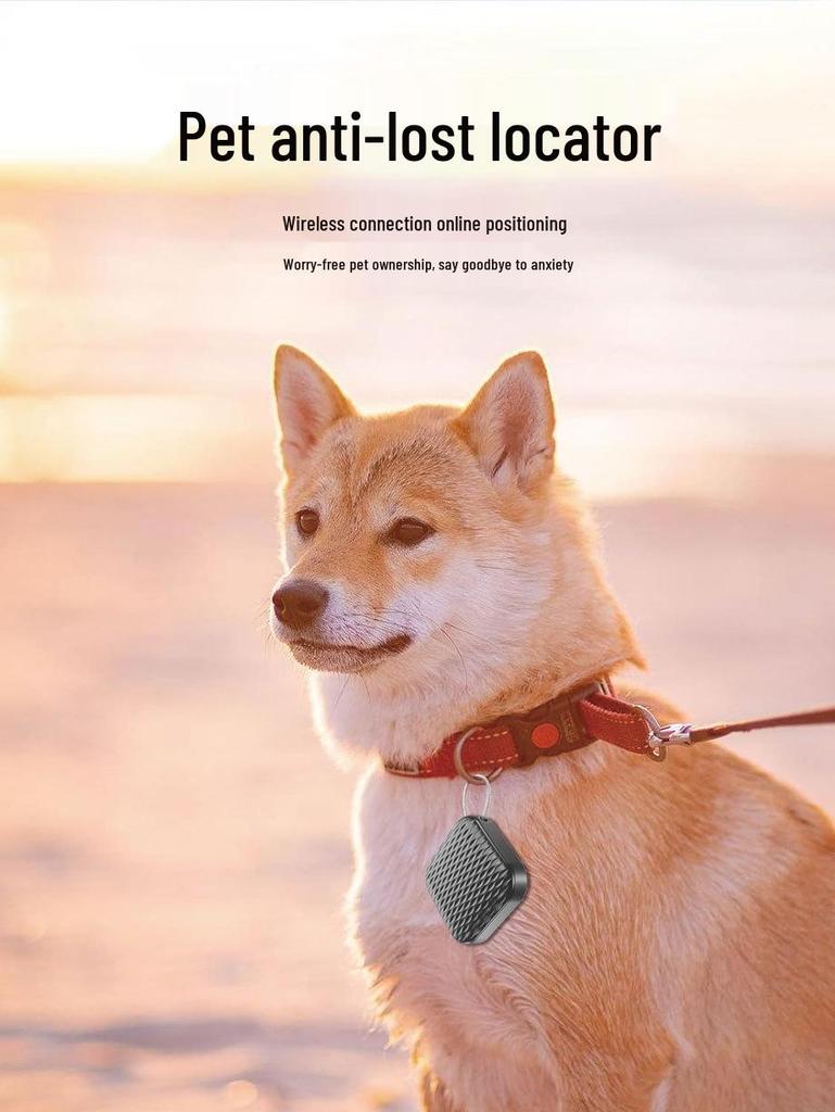 Global Bluetooth Pet & Elderly Tracker: Smart Anti-Lost Locator for Children and More