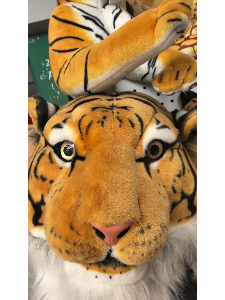 Creative Tiger Head Plush Backpack - Street Fashion for Students & Couples
