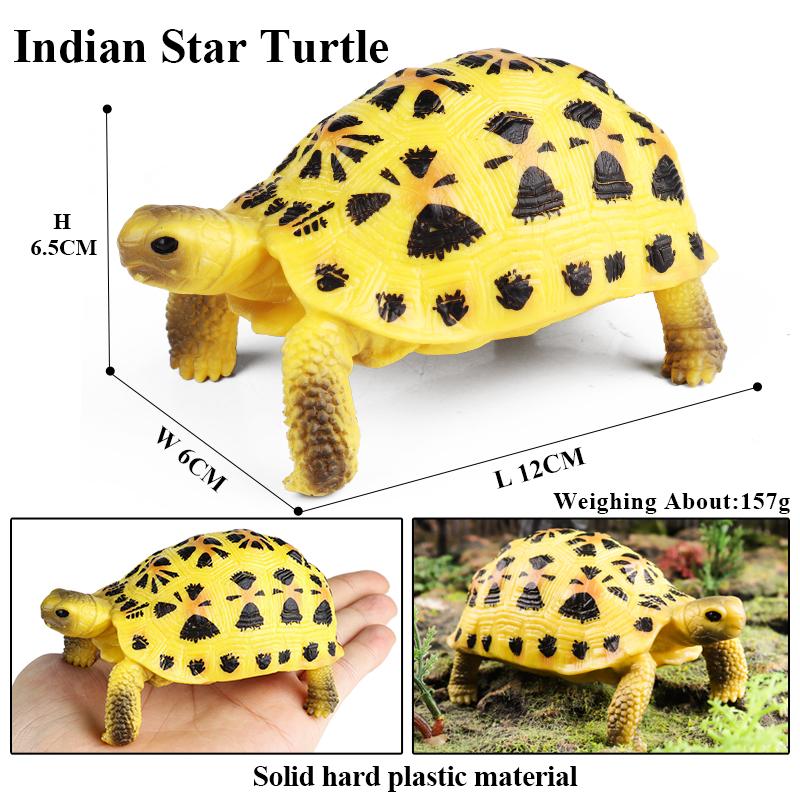 Oenux Sea Life Animals Model Leatherback Tortoise Turtle Growth Cycle Ocean Figurines Action Figures PVC Collection Kid Toy Gift