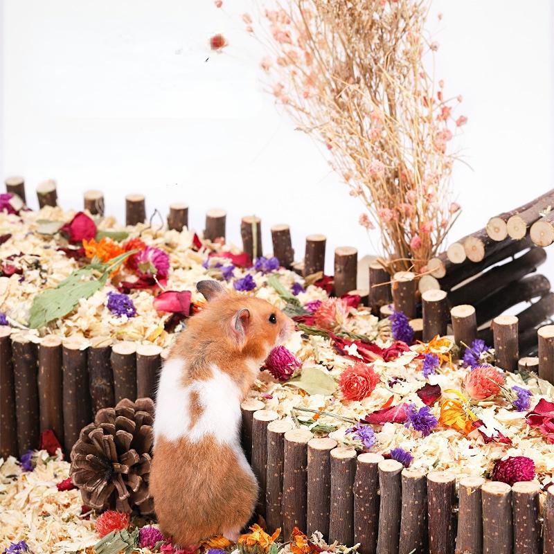 Wooden Hamster Ladder Bird Ladder Climbing Ropeway Pet Training Parrot Boardwalk Parrot Bird Toy Long Climbing Ladder 50cm