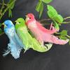 Artificial Birds Simulation Foam Birds with 3D Feather Tail Realistic Clip