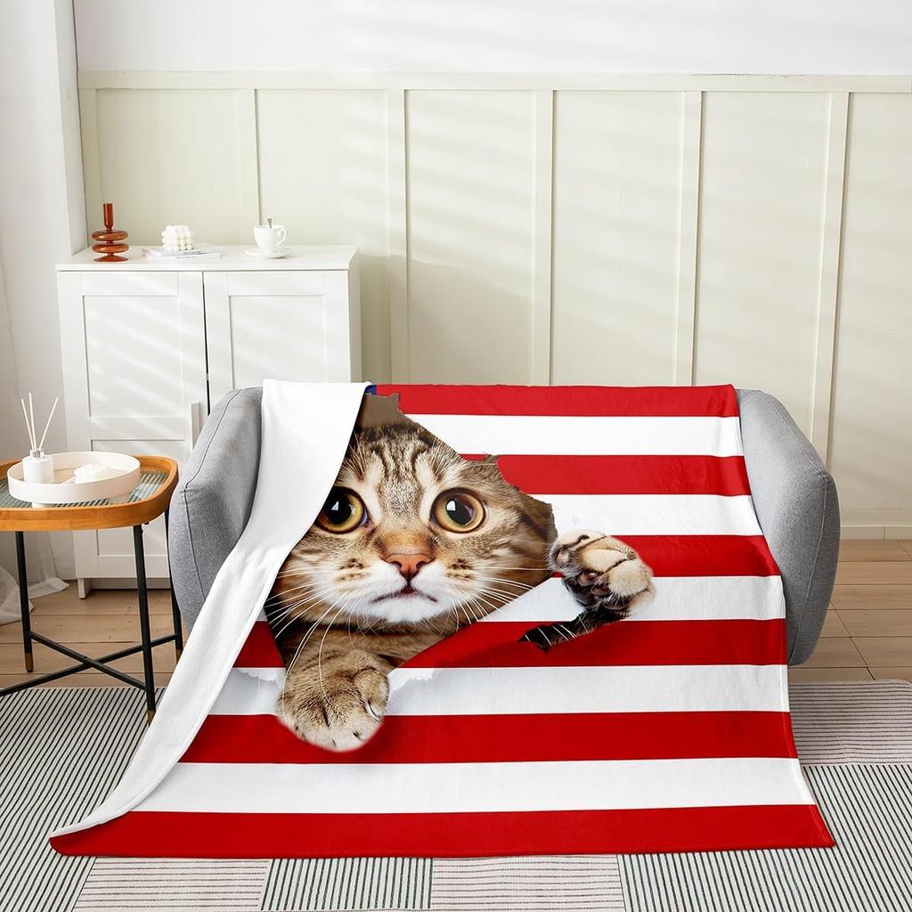 Tai Chi Flannel Throw Blanket for Kids Yin Yang Art Design Black and White Minimalist Plush Blanket Soft Fuzzy AllSeason Bed Bla