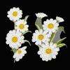 Sew-on Clothes Fabric Sticker Dress Applique Embroidery Applique Patch