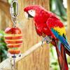 2Pcs Bird Skewer Stainless Steel Parrot Skewer Feeder Bird Veggies Skewer Fruit Food Holder Hanging Food Feed Tool Foraging Toy