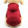 Autumn and winter dog fleece sweater trendy brand two feet sports wind pet dog dog cat clothes outdoor products