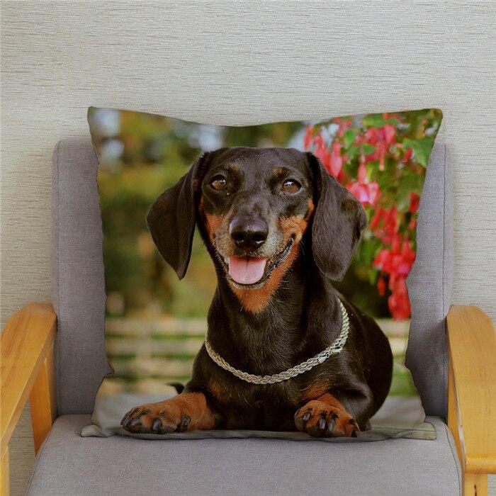 Cushion Cover 45 45cm Throw Pillow Covers Hd Miniature Dachshund Dogs Pillows Cases Home Decor Pillowcase At Affordable S Free Shipping Real Reviews With Photos Joom - Miniature Dachshund Home Decor Cushion Cover 45 45cm Throw Pillow Covers Hd Miniature Dachshund Dogs Pillows Cases Home Decor Pillowcase At Affordable S Free Shipping Real Reviews With Photos Joom - Miniature Dachshund Home Decor